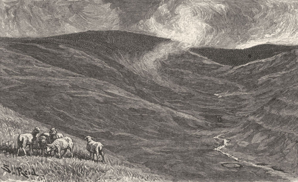 NORTHUMBERLAND. Among the Fells 1901 old antique vintage print picture